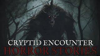 3 Scary Cryptid Encounters + Mountain Horror Stories