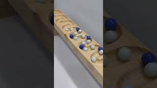 The World's Largest marble run race
