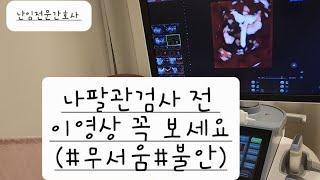 나팔관검사 전 이영상 꼭 보세요. 무서우신분 영상 한번 보시고, 병원가세요