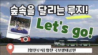 [숲 속을 달리는 루지] 합천 국보생태공원에서 루지 탈까요? Let's go to luge!!!