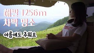 육백마지기ㅣ한여름에도 추운 차박 명소ㅣ한국의 알프스ㅣ해발1256m 고지대ㅣ차박ㅣ스타렉스ㅣ캠핑카ㅣ스텔스ㅣ힐링ㅣ솔로캠핑ㅣASMR l 백색소음