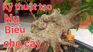 kỹ thuật tạo nu biếu cho cây