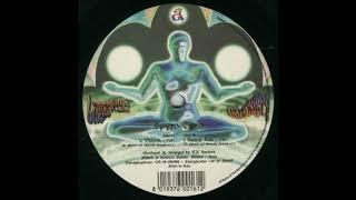 Spyro Gyro - Vision (Acid Trance 1997)