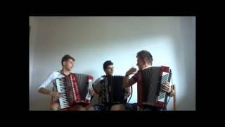 Avicii - Wake Me Up ( Crazy Accordion Trio Cover )