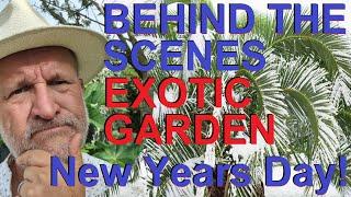 Tropical gardens UK:  Behind the Scenes of our Exotic Garden New Years Day