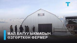 НТК:МАЛ БАГУУ ЫКМАСЫН ӨЗГӨРТКӨН ФЕРМЕР