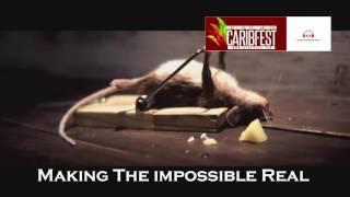 Las Vegas Latin Caribbean Festival Super Mouse Trap 2016