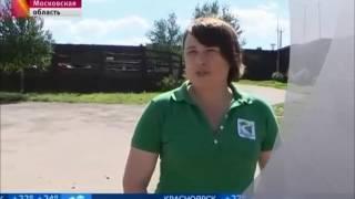 База отдыха "Экодеревня"Бабин двор"