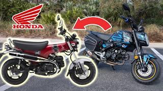 Sorry GROM, Honda's new "DAX" is the king of minimotos?!