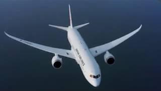 Japan Airlines Adoption of Adobe Experience Cloud Propels to Successful Customer Experiences