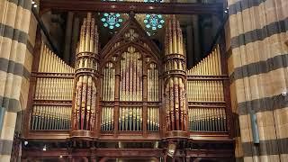 Arjan Breukhoven | St. Paul's Cathedral Melbourne | Toccata and Fuge d-minor BWV 565 J.S. Bach