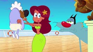 Oggy And the Cockroaches, Zig & Sharko, Where's Chicky? | BABY COMPILATION  Xilam TV