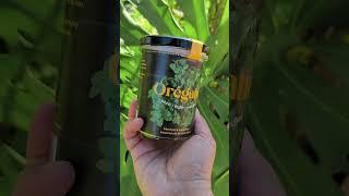 ¿Quieres Orégano Fresco Siempre? ¡Descubre Este Kit de Autocultivo Fácil y Rápido! 