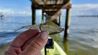 South Florida Winter Kayak Sight Fishing Docks & Flats for Redfish and Snook! Last Video 2024