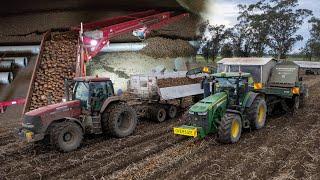 Harvesting & Loading Potatoes w/ John Deere 8270R | Talley's NZ