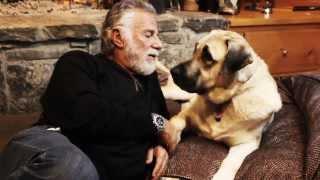 ORVIS - Cover Dog Contest: The Bachelor with Jonathan Goldsmith