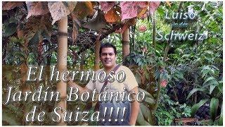 Una de las casas más hermosas de Suiza y su increíble Jardín Botánico