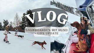 life update + snowboarden mit Toffee | Chocolate+ Foxred Labrador |  KaroLovesMilka