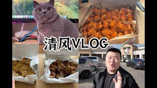 清风日记｜日常外卖｜英短蓝猫日常｜韩国炸鸡