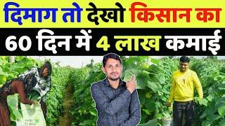 खीरे की खेती कब और कैसे करें | khira ki kheti kab kare | cucumber cultivation in open field