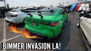 All BMW Car Meet! BIMMER INVASION LA 2024