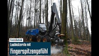 Fingerspitzengefühl im Laubholz