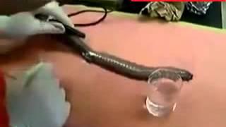 Snake's liquid effecting to water amazingly.