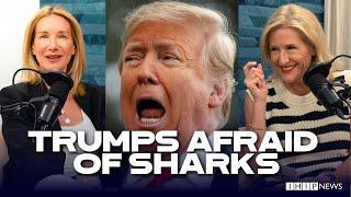 IHIP News: Trump Hates Sharks and His Supporters