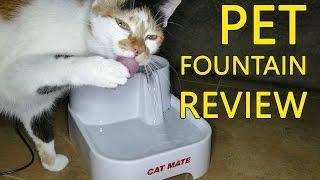 Cat Mate Pet Drinking Fountain | Why it's GOOD for your cat!