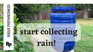 How to Make a DIY Rain Barrel for Under $100!