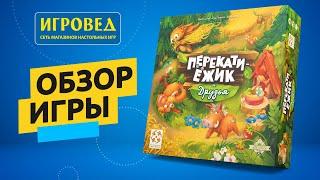 Перекати-ёжик и друзья. Обзор настольной игры от Игроведа