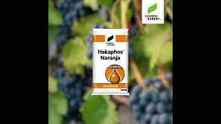 Hakaphos® Naranja: Water soluble NPK compound fertilizer with magnesium, sulfur and micronutrients.