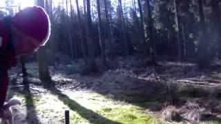 unvertont.wmv