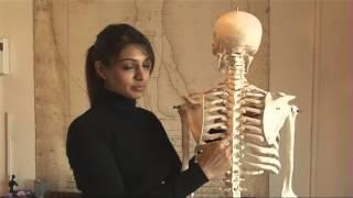 Pilates Principles - Scapula Stability