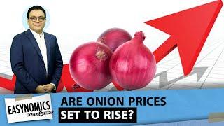 The Inside Story of How Onion Prices May Behave in the Coming Months