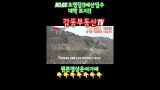 No.65 초명당!!배산임수 대박 토지!!(경상북도 안동시 임동면 위리)