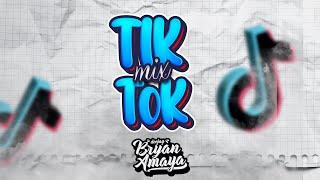 MIX TIK TOK 2024 (Brickell, Santa, Maquillaje, Gata Only, Gitana, Princesita De) // DJ BRYAN AMAYA