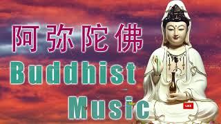 来自佛的音乐 - 阿弥陀佛最好的放松佛教音乐 - 最受欢迎的佛教歌曲 Buddhist Music 觀世音菩薩祈禱文 - 来自内心的佛教音乐 - 纯正的佛教歌曲