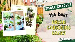 The Best Urban Gardening Hacks for Small Spaces | Create a Green Oasis at Home