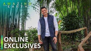 Amazing Earth: Exclusive behind-the-scenes with Dingdong Dantes! (Online Exclusives)