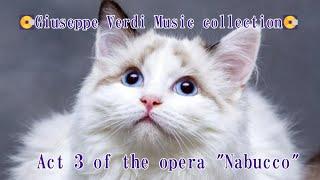 Classical Giuseppe Verdi Music collection  Act 3 of the opera "Nabucco" BGM