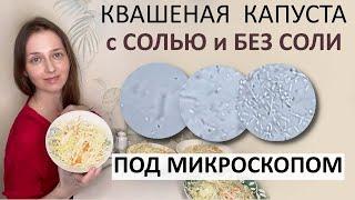 Микрофлора квашеной капусты. Микроорганизмы любят соль ? Добавлять ли закваску ?