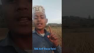 md Arif Raza faizi
