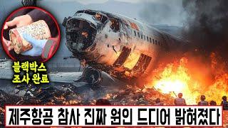 [실제사건] '블랙박스 조사 완료' 제주항공 참사 진짜 원인이 드디어 밝혀졌다!