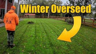 Overseeding Fall Lawns for Winter