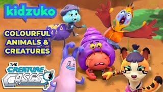 The Creature Cases -  Most Colourful Animals & Creatures  | Compilation | @Kidzuko