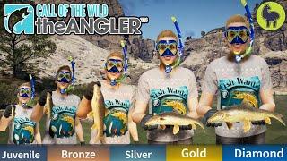 Juvenile to Diamond Andalusian Barbel | Call of the Wild: The Angler