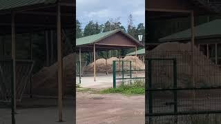 Терапия путешествиями. Скит глазами обывателя.