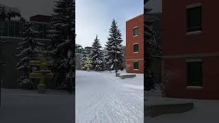 University of Alberta, Edmonton, Canada, campus in the winter.