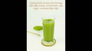 TỔNG HỢP  ĐẶC TÍNH CỦA CÁC LOẠI TRÀ NHẬT #tranhatban #plantrip #tranguyenlieu